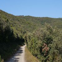 Photo de France - La randonnée du lac des Olivettes